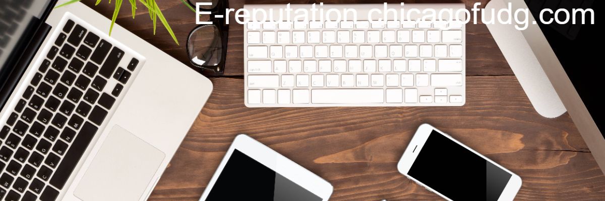 e-reputation.chicagofudg.com